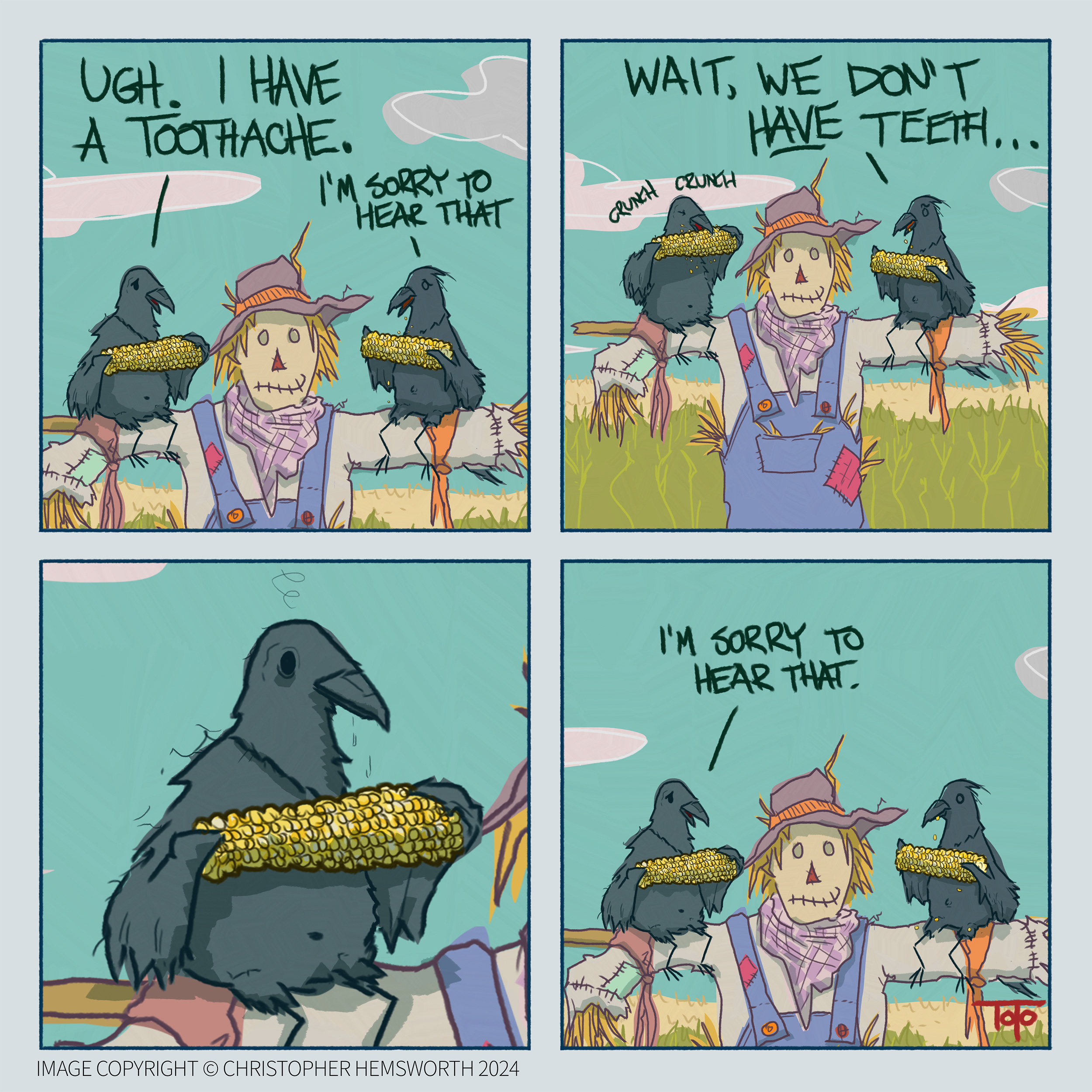 two crows sitting on a scarecrow having a convo about a toothache.